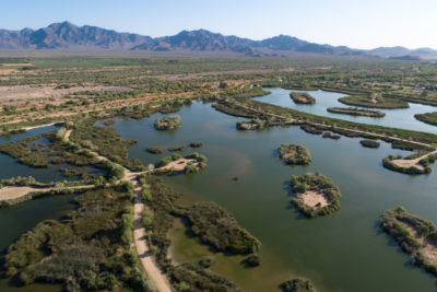 凤凰城以西的吉拉，盐和阿瓜河河的交汇处的TRE RIOS湿地。