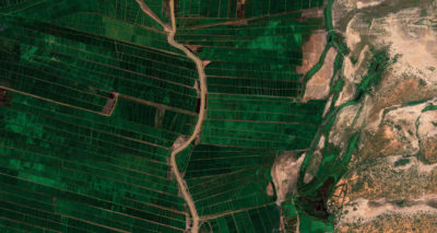 一年的进步（2018-2019）在《大绿墙计划》中，这是一项庞大的树木植物倡议，旨在阻止撒哈拉沙漠南部边缘非洲萨赫勒地区的荒漠化游行。在受到干旱，粮食稀缺和气候迁移影响的地区，该项目打算通过种植5,000英里的树线来恢复2.5亿英亩的退化土地，例如沿毛里塔尼亚和塞内加尔边界的这一部分。