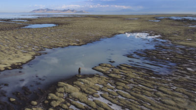 低水位在犹他州的大盐湖,9月的湿地干涸今年由于干旱。