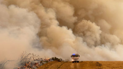 野火在袋鼠岛，1月2日澳大利亚。