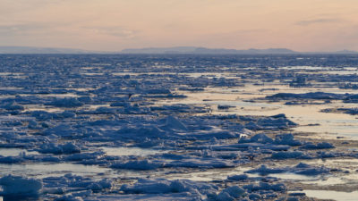浮冰在格陵兰岛海岸的浮冰中蓄积。