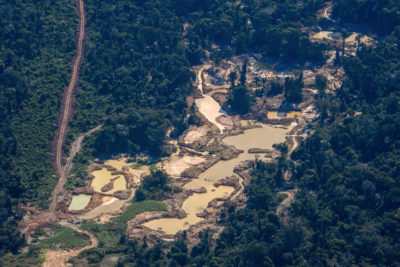 Kayapó土地被非法黄金开采肆虐。