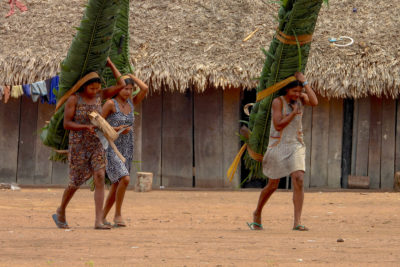 Kayapó妇女将叶子捆绑在乡村仪式上。