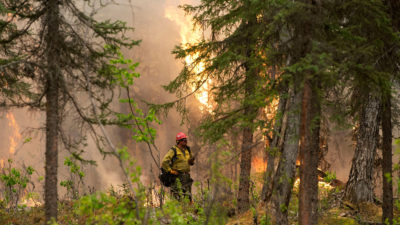 2014年的一场大火烧毁了基奈避难所近20万英亩的土地，一名消防员站在大火边缘。避难所里的火灾季节持续的时间越来越长，越来越强烈。