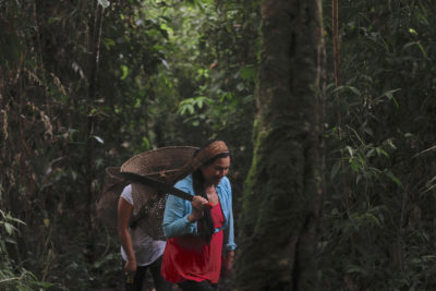 本地Kichwa的Magdalena Santi带领女儿穿过厄瓜多尔萨拉亚库的森林。