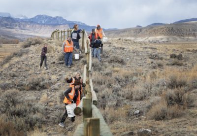 志愿者在怀俄明州修改围栏，以使野生动植物通过。