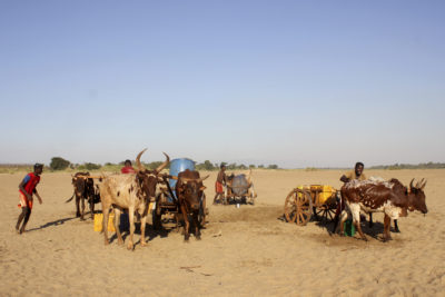 在2020年挖水在马达加斯加。研究人员说,可怜的水利基础设施,没有干旱,国家的粮食危机的主要罪魁祸首。