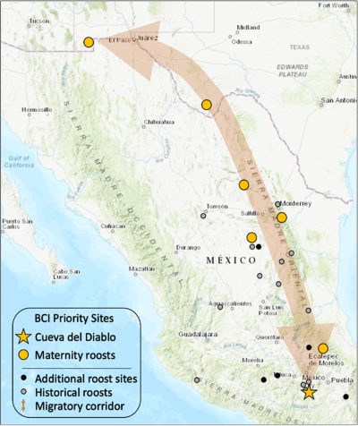 从墨西哥中部到美国西南部的墨西哥长鼻子蝙蝠的迁徙范围。