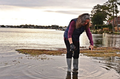 科学家Margaret Mulholland在1月份在诺福克的高潮洪水中收集水样。