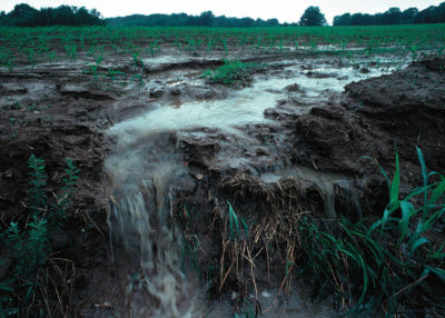 2016年进入了超过10亿磅的氮气进入了爱荷华州的水道，主要来自肥料径流。