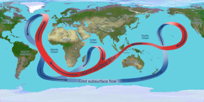全球海洋插图描绘的循环。整个大西洋,循环着温暖的水域附近向北(红色箭头)表面和冷深水(蓝色箭头)向南。