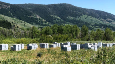 丹尼斯·考克斯（Dennis Cox）每年夏天将592个蜂巢转移到犹他州的国家森林中，其中包括在Uinta-Wasatch-Cache国家森林中。