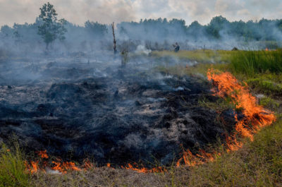One of 73 fires detected on peatland or in forests early last month that caused haze on the island of Sumatra. 