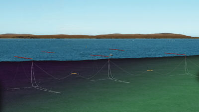 Pelamis波浪能器农场的示意图，其半埋网装置被束缚在海底并通过电缆连接到陆地。波浪能源部署远远落后于太阳能和风力的落后，但是来自波浪的支持者或发电说，它将成为未来几十年可再生能源的主要来源。
