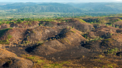 在Laguna del Tigre国家公园附近的“Narco-Ranch”非法砍伐森林。用于毒品贩运的空气带的无线电塔可以在背景中看到。