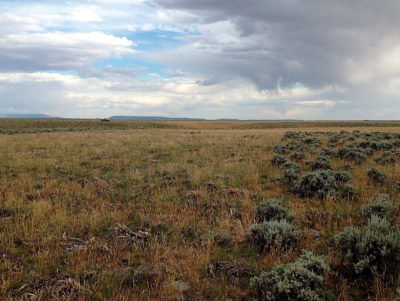 在2015年，割草（左）和甲状腺动物栖息地的Sagebrush造成的（右）斑驳。
