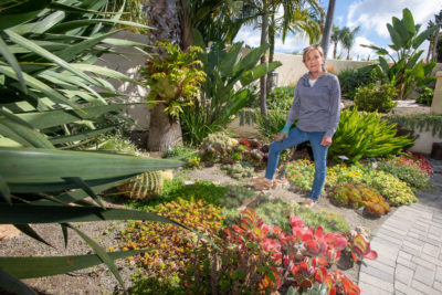 梅勒妮巴克倾向于沙漠植物在恩悉尼塔在她的院子里,加州。