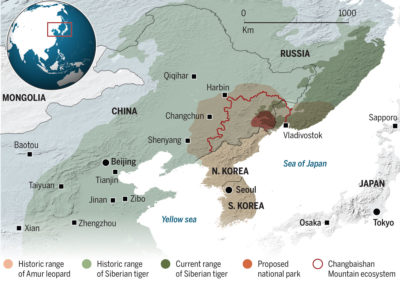 单击以扩大 - 中国新的西伯利亚老虎国家公园和阿穆尔豹子边界俄罗斯和朝鲜。