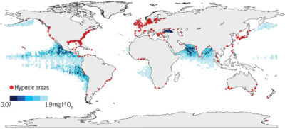 一张显示沿海地区的地图，其中人为营养物质（例如肥料的氮）加剧或导致水中氧气较低，导致死区（红点）。 