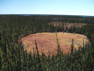 在加拿大西北地区的Scotty Creek Research Station附近的融化的多年冻土斑块。