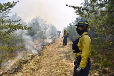 自然保护工作人员于2021年在马里兰州西部的旁观山溪保护区进行受控烧伤。