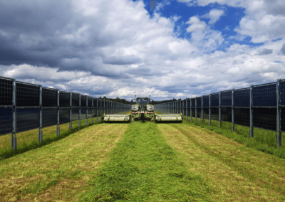 农民种植牧草太阳能栅栏之间多瑙森根,这里德国。