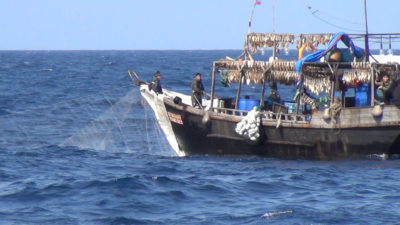 图为在日本东海捕鱼的韩国鱿鱼渔民，由于中国船只的涌入，他们被迫在远离本国海岸的地方捕鱼。