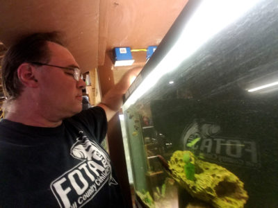 格雷格·斯蒂文斯(Greg Steeves)是“关爱鱼类保护计划”(CARES Fish Preservation Program)的一名成员，他把濒危物种保存在德克萨斯州家中的地下室里。