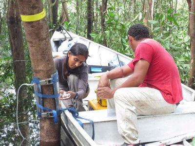 Sunitha Pangala在亚马逊中安装了一个测量树的甲烷排放的设备。
