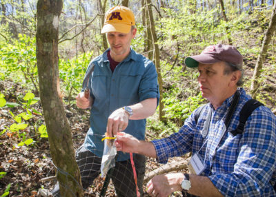 研究人员(右)从佛罗里达州的一棵死香榧树中收集样本，以研究香榧镰刀菌。