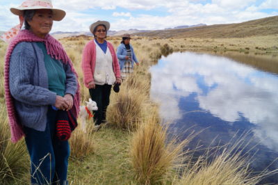 一个社区池塘在秘鲁山的坎奇洛（Canchayllo）恢复了湿地恢复工作的一部分。