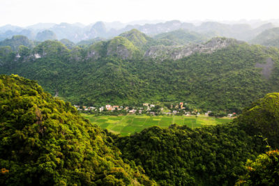 越南广宁省的一个被未开发的森林包围的农业村庄。