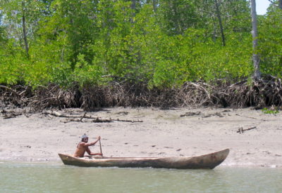 一个船夫行过去Rufiji三角洲的红树林。