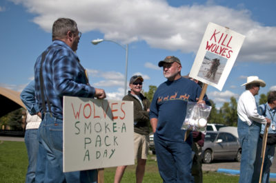 一位anti-wolf抗议蒙大拿。