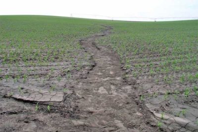 土壤侵蚀在内布拉斯加州的玉米田。