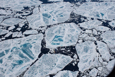科学家们用海冰的核心来研究北极五个地区的塑料污染水平。