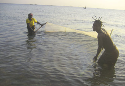 妇女们用蚊帐捕鱼，这种做法导致了过度捕捞。