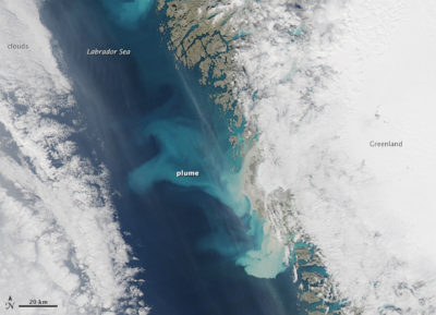 卫星图像显示从熔融地排出的冰川的泥泥羽毛在格陵兰岛。