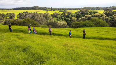公园游侠通过夏威夷火山国家公园的Kahuku单位来徒步旅行。
