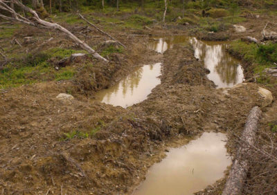 瑞典的林业产业目前保持工厂提供全年运营。一个共同的结果是轮胎的痕迹通过森林深处日志在潮湿的天气。