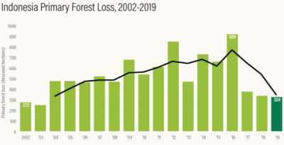 印度尼西亚的原始森林损失在过去三年里每年都在减少。