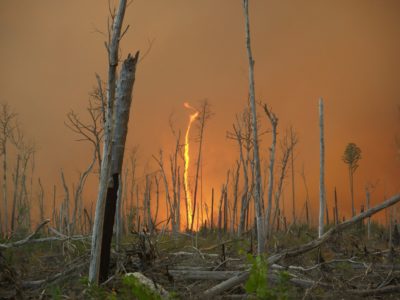 2011年8月，在弗吉尼亚州的大萧条沼泽国家野生动物保护区的野火。