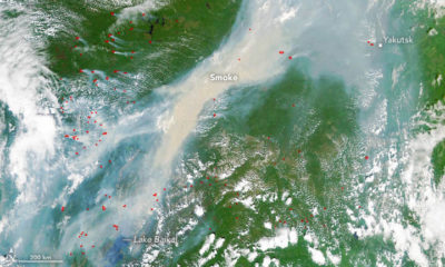 卫星图像显示，2017年6月23日在西伯利亚燃烧了数十场野火。