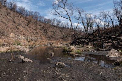 2月24日，一层厚厚的消防灰和沉积物覆盖了甘蓝百日自然保护区的一部分。