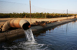 加州灌溉渠