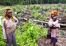农民在加蓬