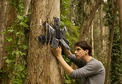 雨林连接声音技术