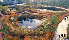 天津Qiaoyuan湿地公园