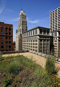 芝加哥市政厅的绿色屋顶
