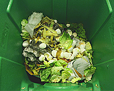 食物堆肥垃圾箱